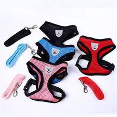 PECHERA CON CORREA PARA PERROS PEQUEÑOS Y GATOS TALLA L