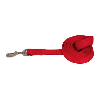 PETMATE CORREA DE NYLON PARA PERROS 1"X6"