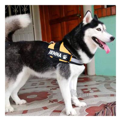 RYBIU IMPORT - ARNES PARA PERROS ACTIVOS TALLA S
