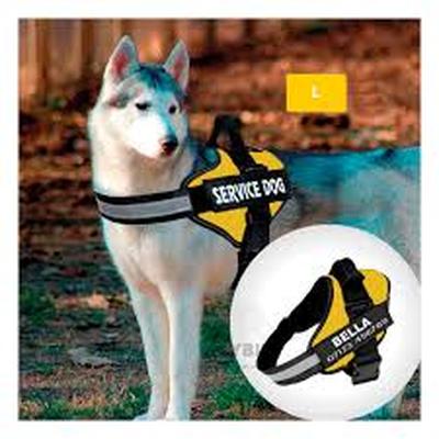 RYBIU IMPORT - ARNES PECHERA SERVICE DOG TALLA L