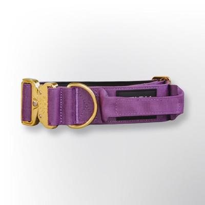 STARK & CO COLLAR STARK & CO WARRIOR CITY 5CM PURPLE - WARRIOR CITY