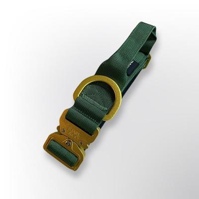 STARK & CO COLLAR STARK & CO WARRIOR LIGHT 4CM EMERALD GREEN - WARRIOR LIGHT