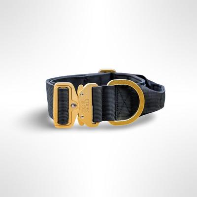 STARK & CO COLLAR STARK & CO WARRIOR LIGHT 5CM BLACK - WARRIOR LIGHT