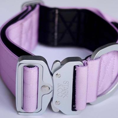STARK & CO COLLAR STARK & CO WARRIOR LIGHT 5CM LILA - WARRIOR LIGHT