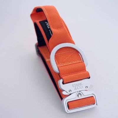 STARK & CO COLLAR STARK & CO WARRIOR LIGHT 5CM ORANGE - WARRIOR LIGHT