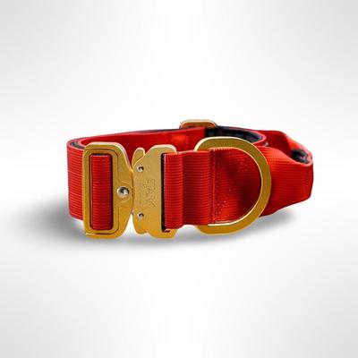 STARK & CO COLLAR STARK & CO WARRIOR LIGHT 5CM RED - WARRIOR LIGHT