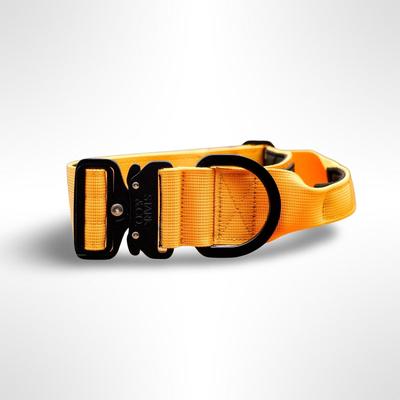 STARK & CO COLLAR STARK & CO WARRIOR LIGHT 5 CM YELLOW - WARRIOR LIGHT