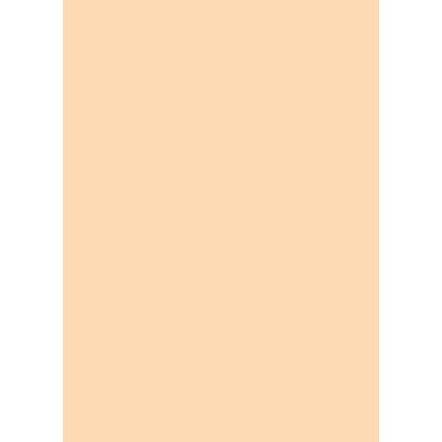 ACCESORIO FOTOGRAFIA WESTCOTT SOLID COLOR MATTE VINYL BACKDROP WITH GROMMETS 5 X 7 ORANGE