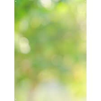 ACCESORIO FOTOGRAFIA WESTCOTT X-DROP VINYL BACKDROP FOREST BOKEH 5 X 7