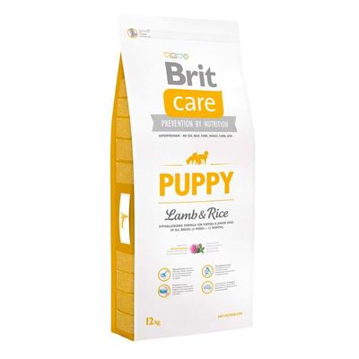 BRIT COMIDA CACHORRO PREMIUM BRIT CORDERO Y ARROZ L&R 12KG