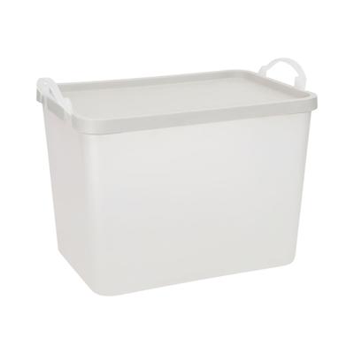 CASAIDEAS CAJA PLASTICA CON TAPA Y ASAS 5,5 L
