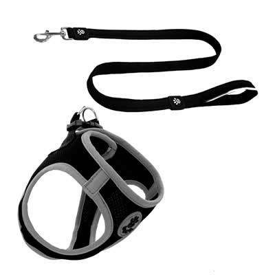 DOCO - ARNES DE PERRO DOCO ATHLETICA XL CON CORREA DE REGALO