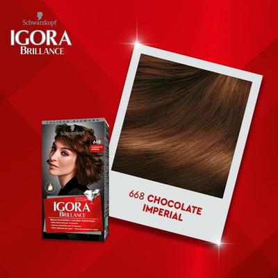 IGORA VITAL KIT TINTE PARA CABELLO TONO CHOCOLATE IMPERIAL 6-68