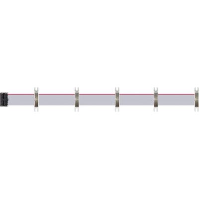 CABLE ALIMENTACION RIBBON FLYING BUS TIPTOP AUDIO EURORACK 5 CONECTORES RIBBON FLYING BUS