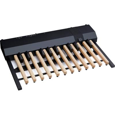 HAMMOND XPK-200GL PEDALERA MIDI 20 NOTAS SONIDOS INTEGRADOS PALANCA LARGA XPK-200GL