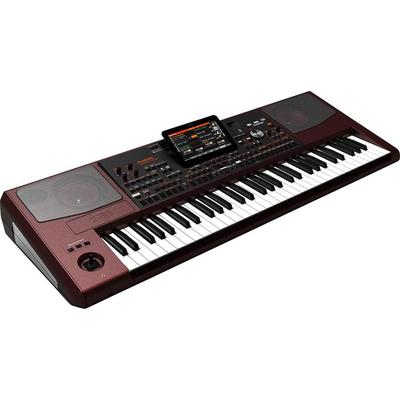 KORG PA1000 ARRANGER PROFESIONAL 61 TECLAS ALTAVOCES 1750 SONIDOS PA1000