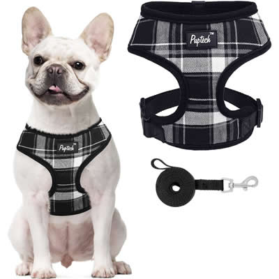 PUPTECK JUEGO DE ARNES Y CORREA DE MALLA PARA MASCOTA SIN TIRONES XS