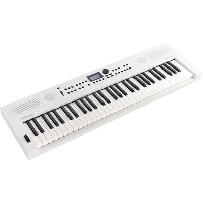 ROLAND GOKEYS 5 TECLADO PORTATIL 61 TECLAS SENSIBLES TACTO BLANCO IDEAL PRINCIPIANTE