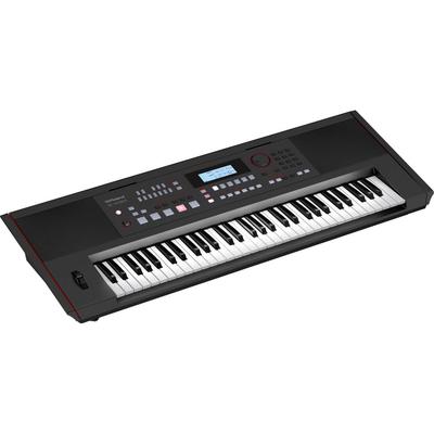 TECLADO ARRANGER ROLAND E-X50 61 TECLAS SENSIBLES TOQUE INTÉRPRETES COMPOSITORES E-X50