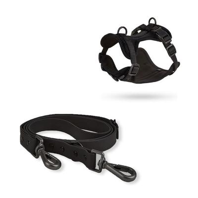 S&T CORREA Y PECHERA PERRO AJUSTABLE TALLA S