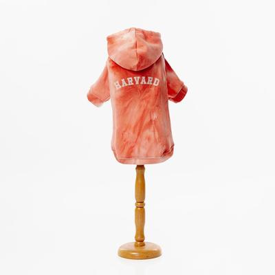 ANIMALE PETS POLERA CON CAPUCHA TIE DYE NARANJA T0 PERRO