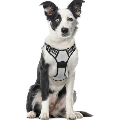 RABBITGOO ARNES PERRO-2 CLIPS CORREA-MANIJA TALLA XL