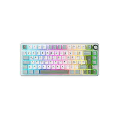TECLADO MECANICO GAMER ROYAL KLUDGE RK R75 CABLEADO SKYCYAN SILVER SWITCH