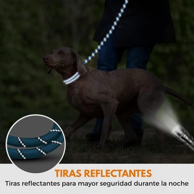 CORREA PARA PERRO REFLECTANTE CON ASA ACOLCHADA